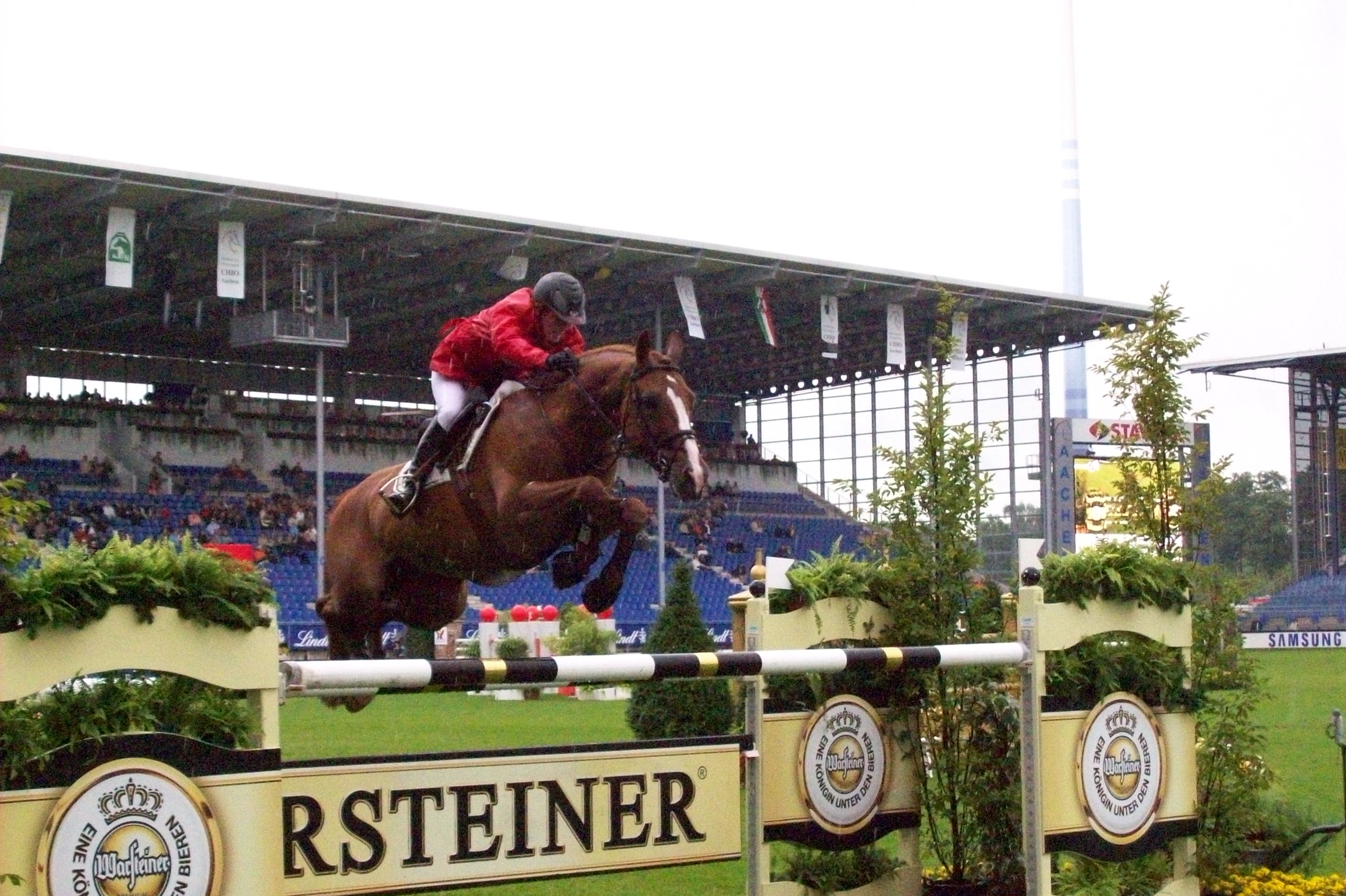 Meredithmbeerbaum lemans chioaachen07